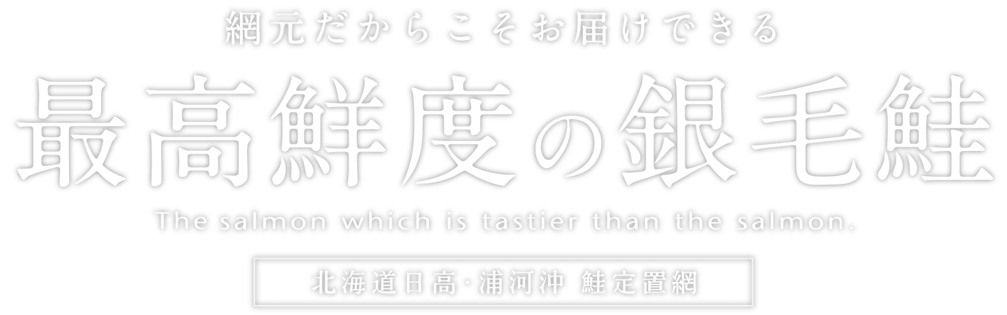 最高鮮度の銀毛鮭